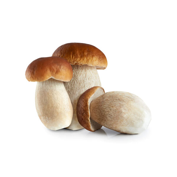 Mushrooms