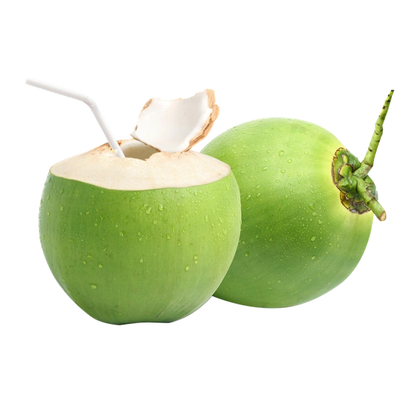 Drinking Coconut Drinking Coconut - Image 1
