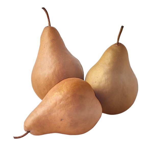 Brown Pears Brown Pears - Image 1